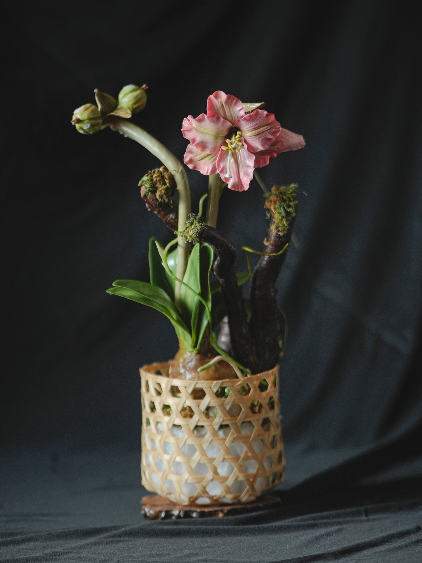 Himalayan Lily Flower With A Bamboo Planter