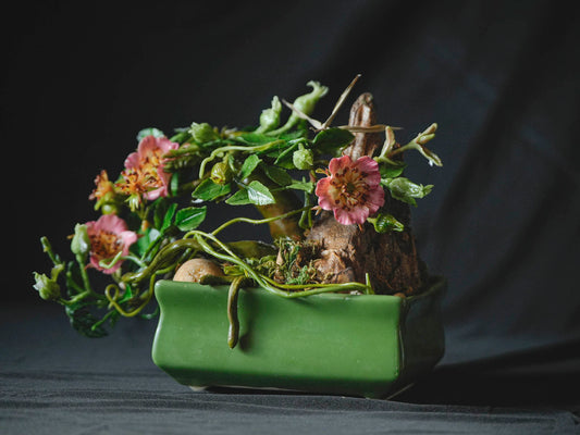 Jardinière en céramique verte C