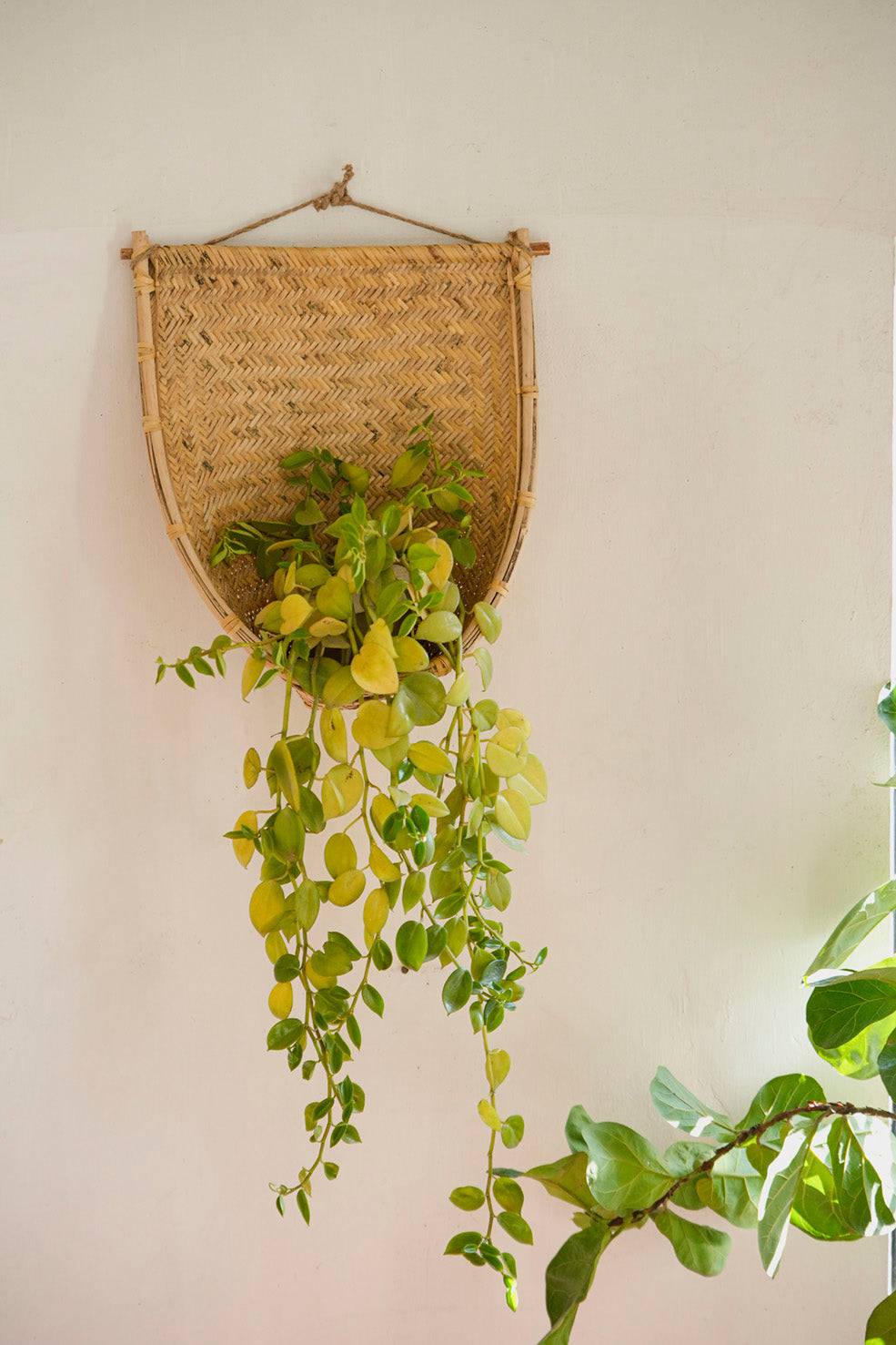 bamboo hanging plant holder Handwoven Hanging Bamboo Planter – Punarnawa Soul of Artistry