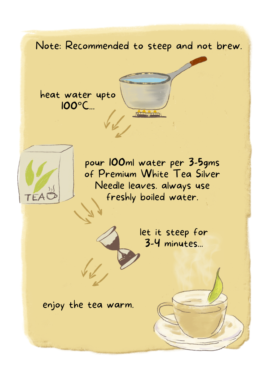 सफेद चाय चांदी की सुई और Peony