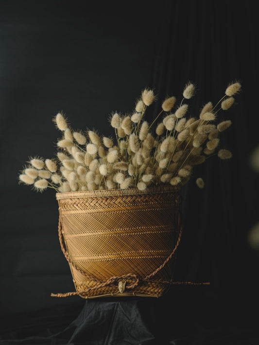 Herbe séchée N Bunny Tails