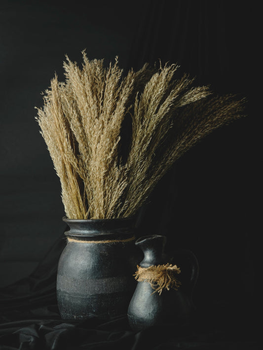 N Herbe de blé séchée