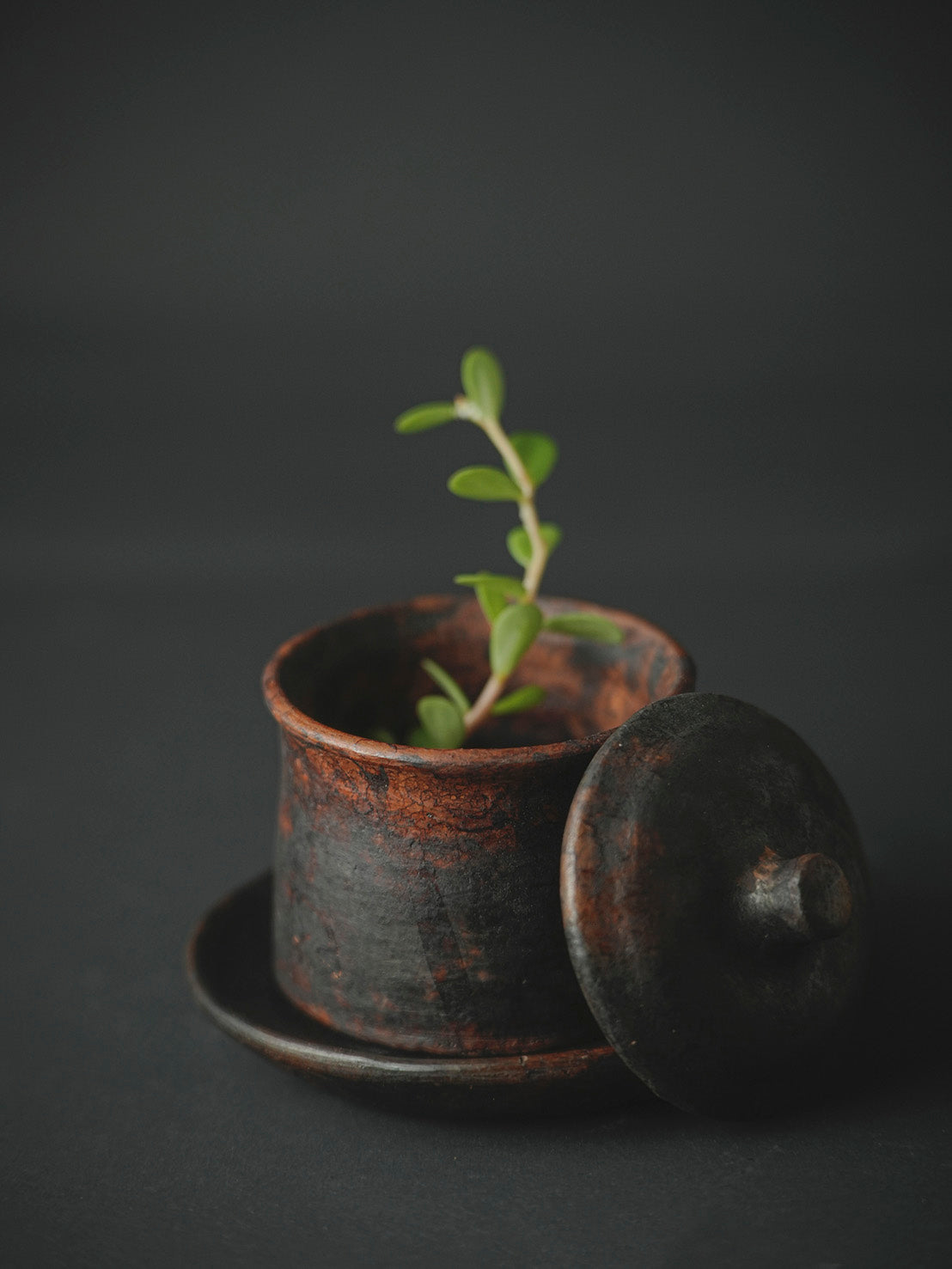 Black Pottery Tea Cup With Lid