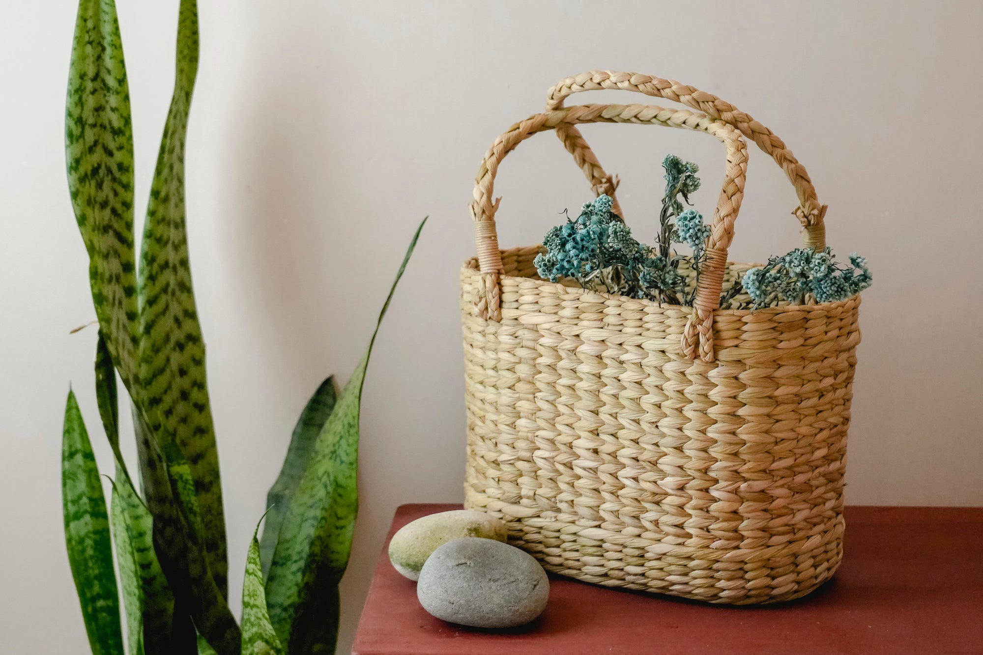 Buy Handcrafted Kauna Grass Printed Grocery Bag Online On Zwende