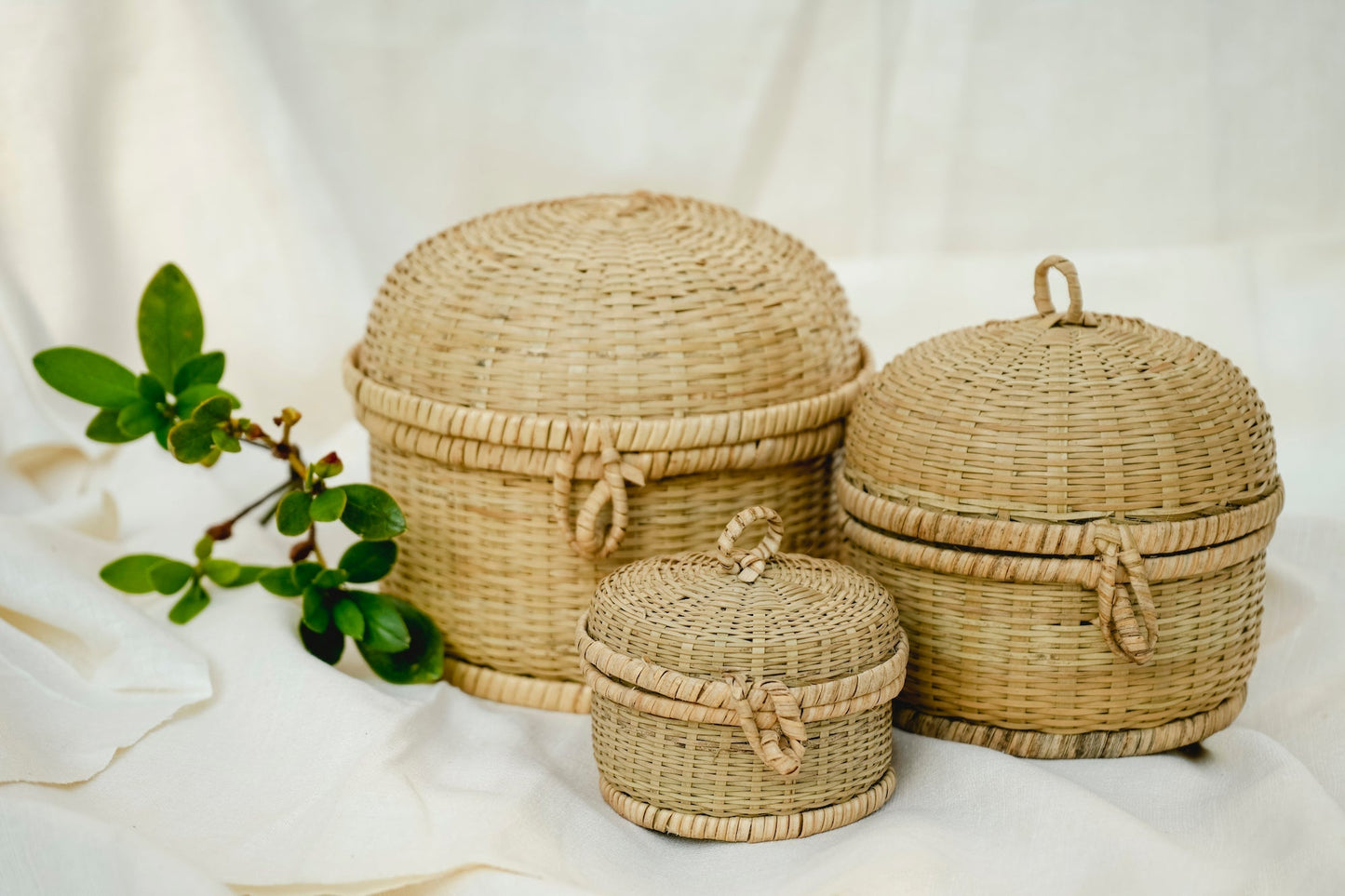 Multipurpose Wicker Basket with Lid | Small