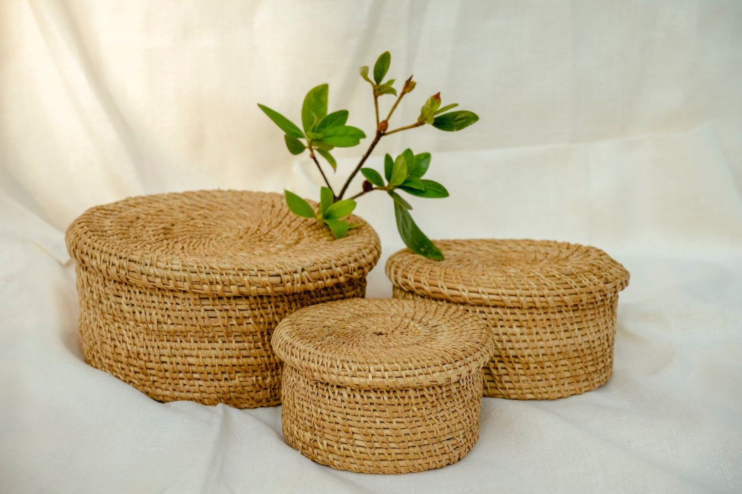 Round Woven Basket with Lid | Medium