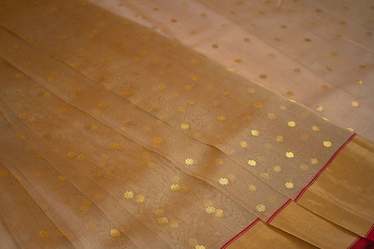 Gold & Pink Flower Chanderi Handloom Sari