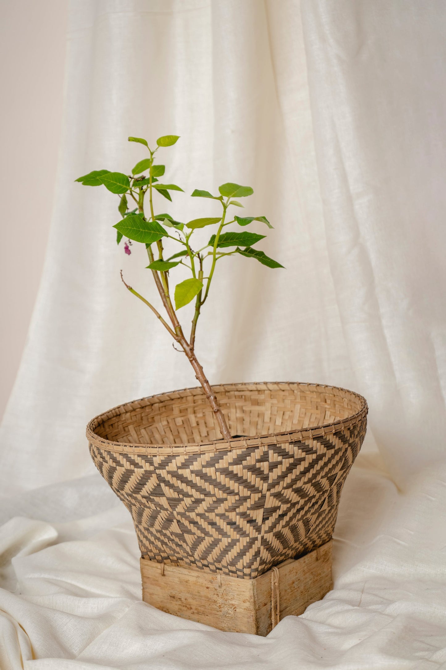 Natural Dyed Bamboo Basket with Raised Platform | Pattern 3